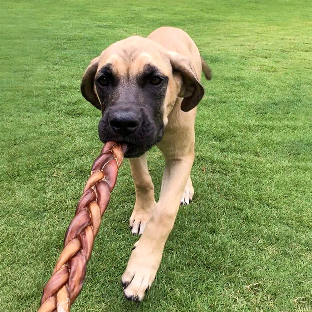 6" Braided Bully Sticks