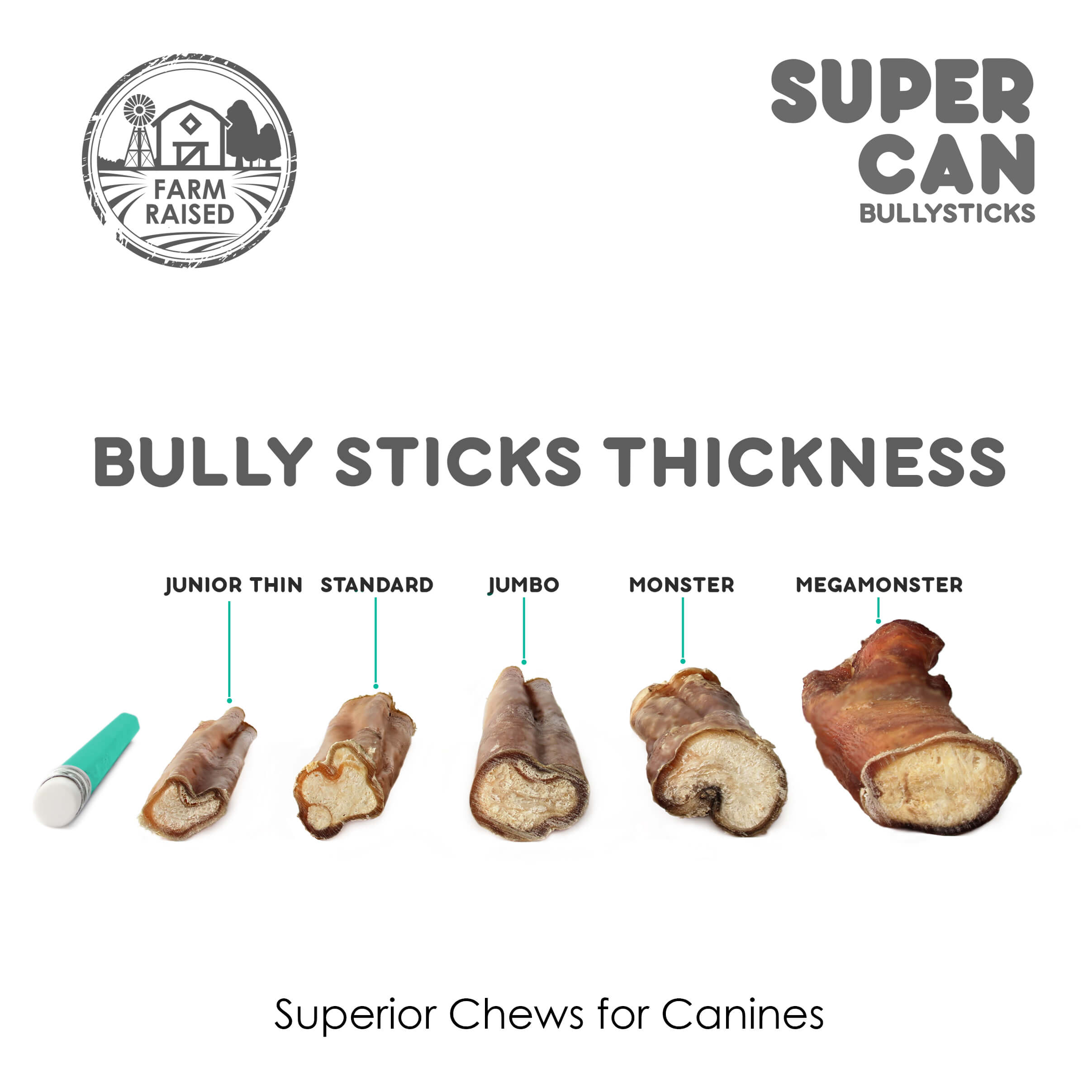 6" Mega Monster Bully Sticks | Premium Quality