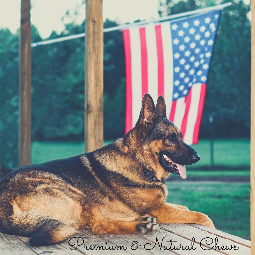 6" Beef Gullet Sticks 8oz