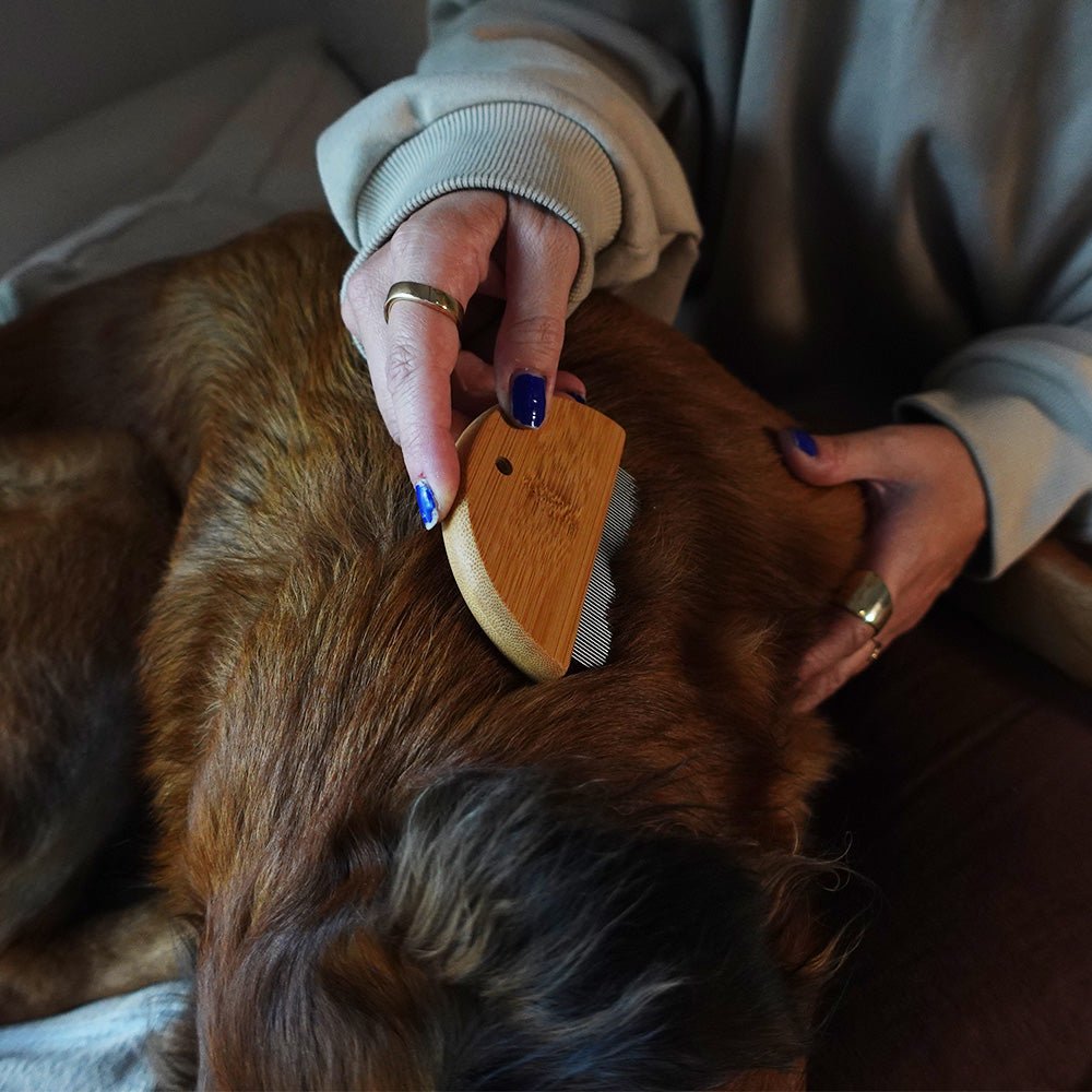 Tilley + Me Bamboo Flea Comb for Dogs & Cats – Gentle & Eco-Friendly