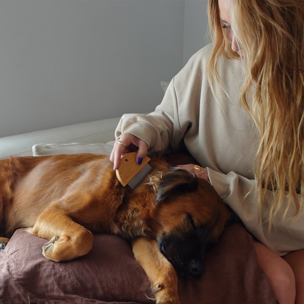 Tilley + Me Bamboo Flea Comb for Dogs & Cats – Gentle & Eco-Friendly