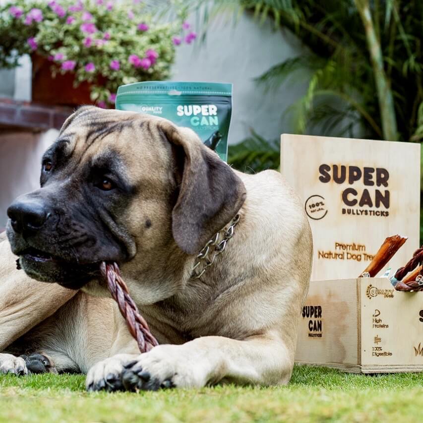 6" Braided Bully Sticks