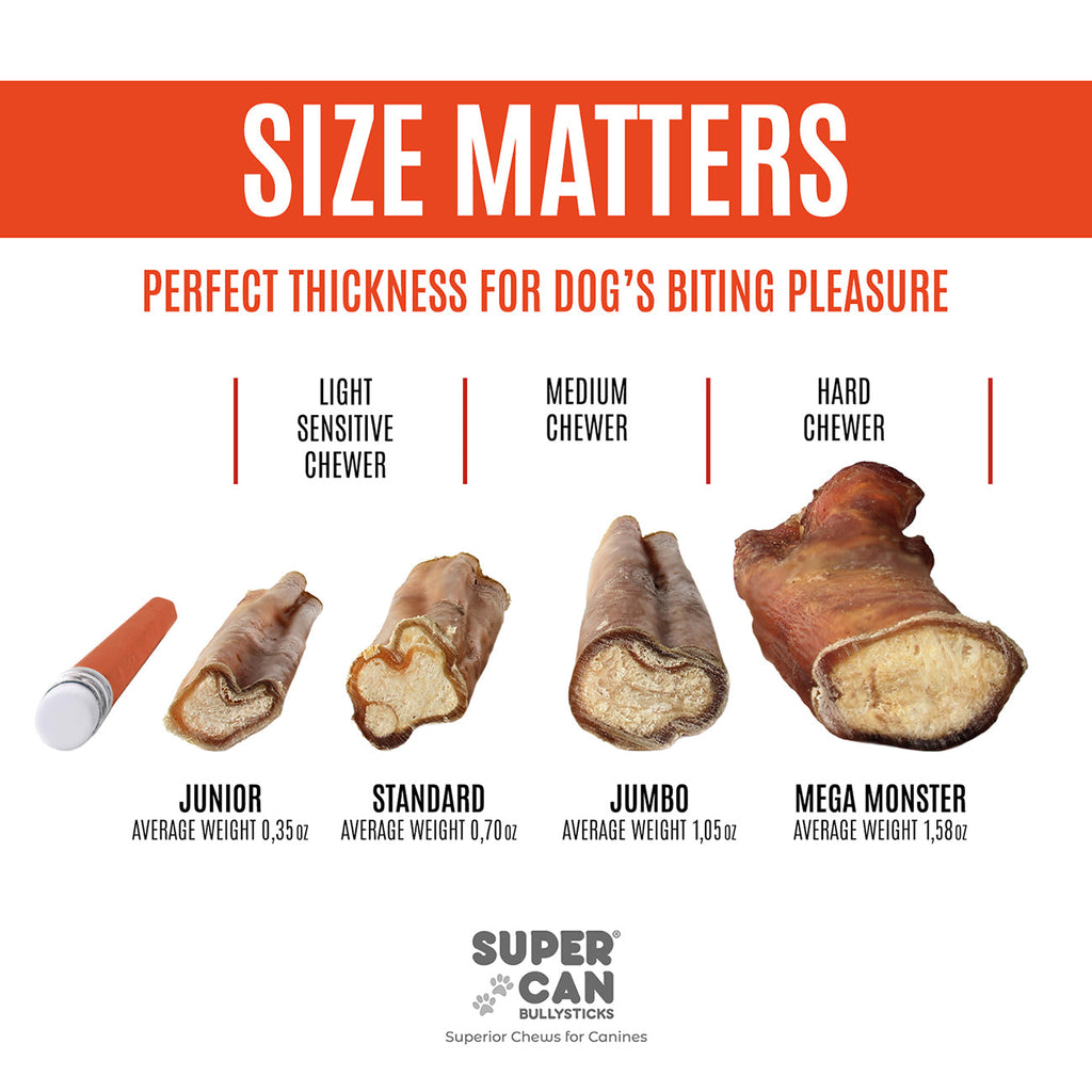 6" Jumbo Bully Sticks - High-Protein Dog Chews